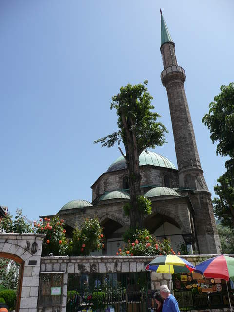 P1010205.JPG
