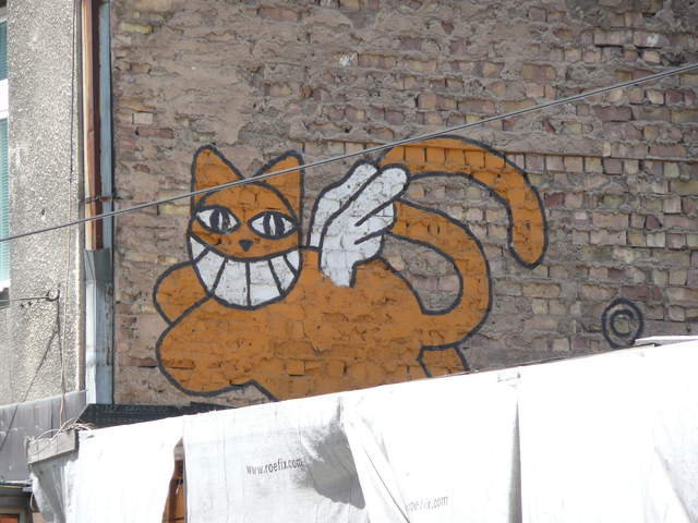 Mister Cat