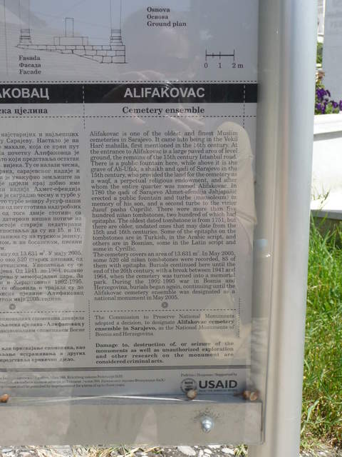 P1010216.JPG