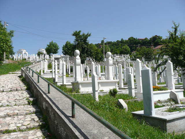 P1010217.JPG
