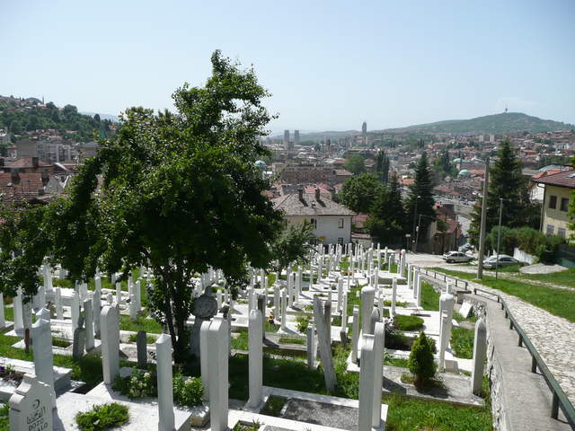 P1010219.JPG