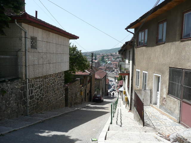 P1010220.JPG
