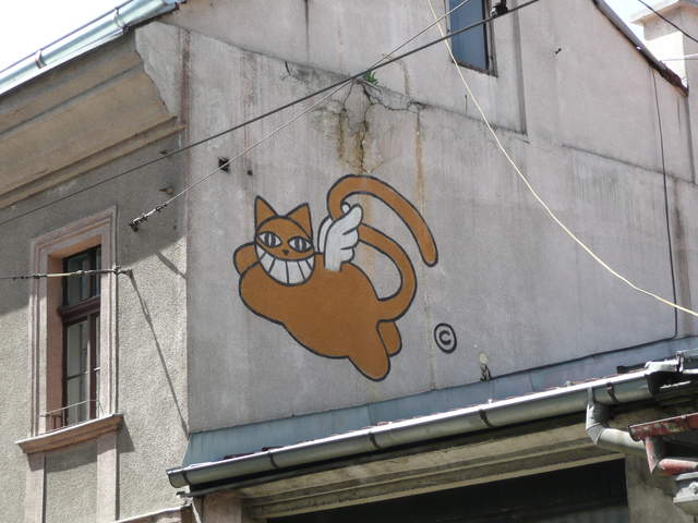 Mister Cat
