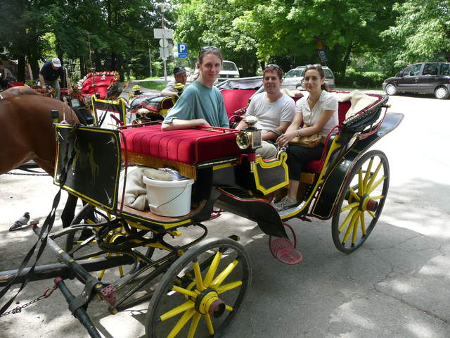 P1010284.JPG