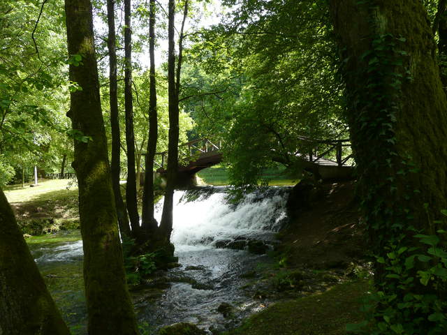 P1010286.JPG