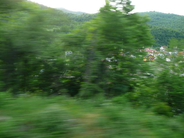 P1010294.JPG