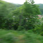 P1010294.JPG