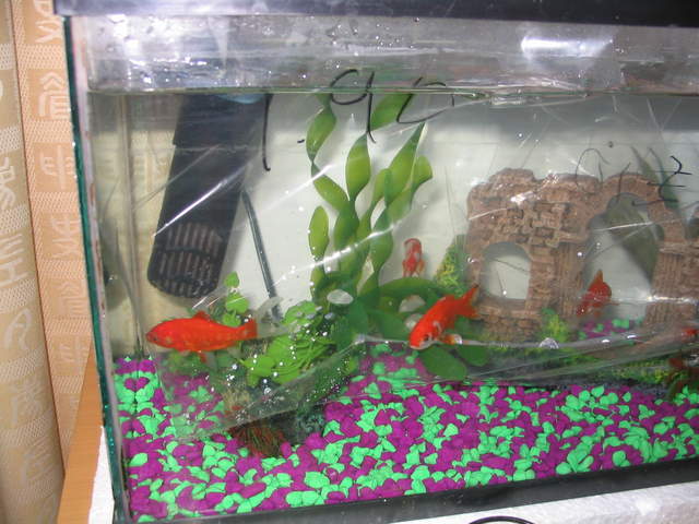 Jack and Daniel on the brief visit - may they get well soon