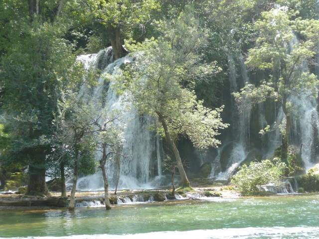P1010330.JPG