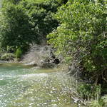 P1010338.JPG