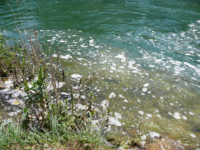 P1010339.JPG