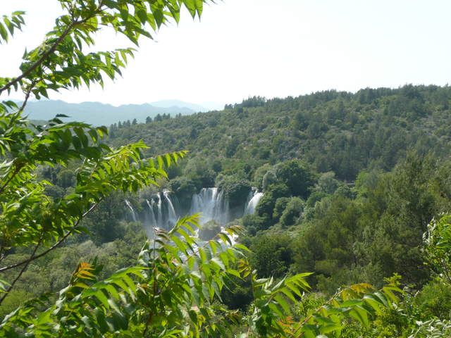 P1010350.JPG
