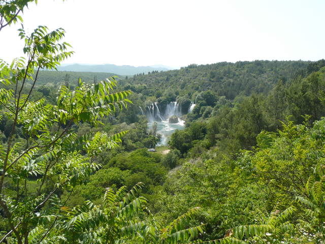 P1010352.JPG