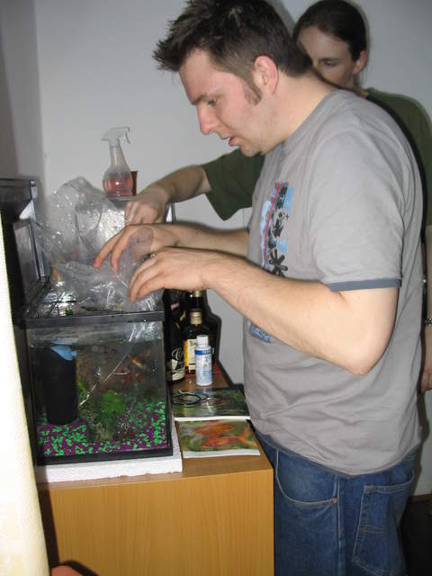 Fish2 010.jpg