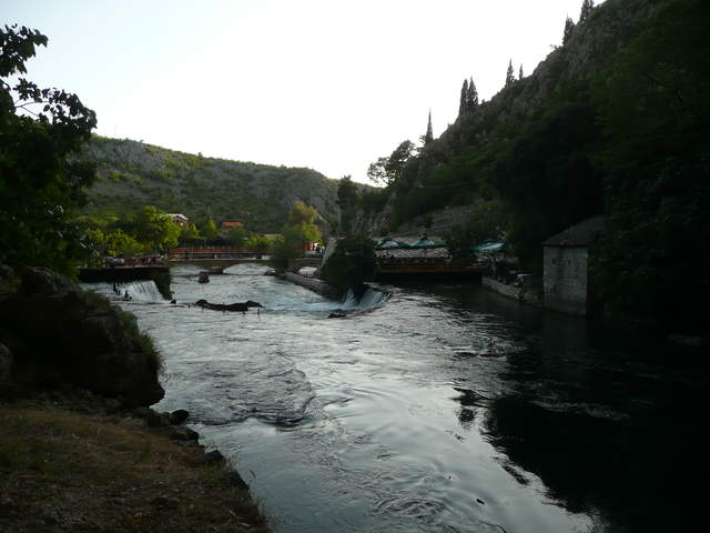 P1010372.JPG