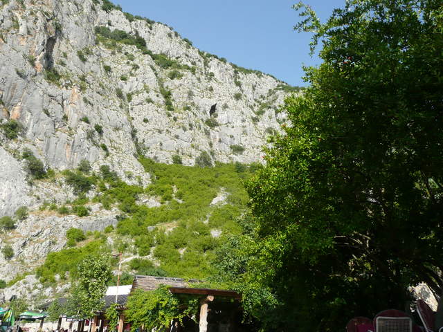 P1010356.JPG