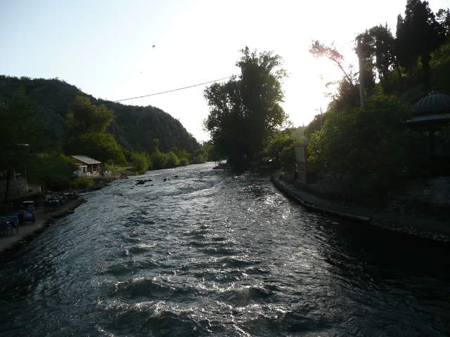 P1010367.JPG