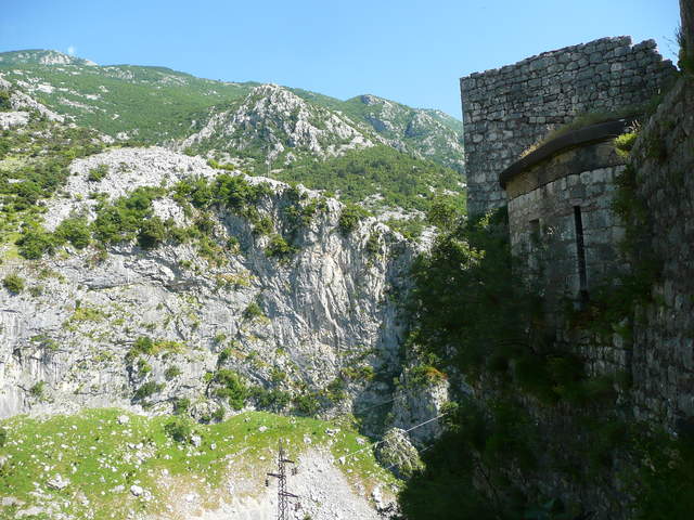 P1010433.JPG