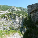 P1010433.JPG
