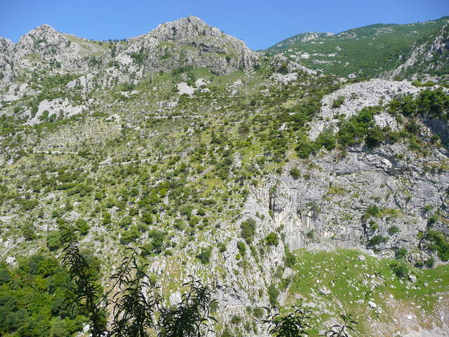 P1010435.JPG
