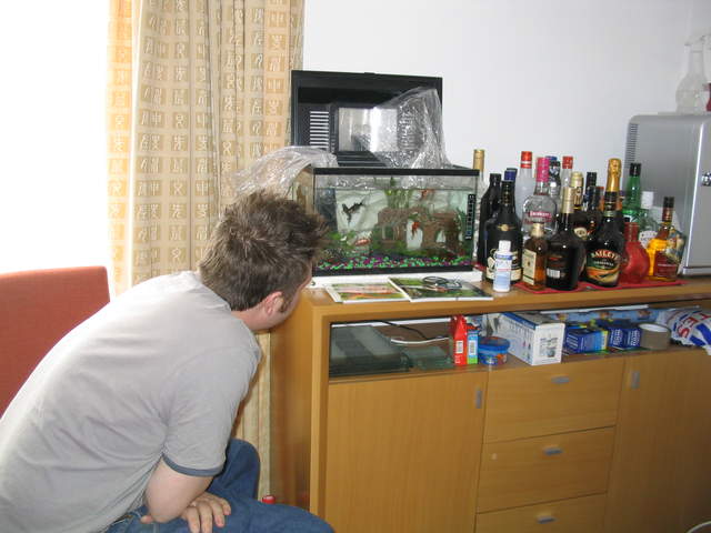 Fish2 016.jpg