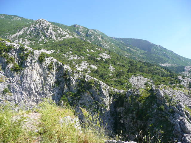 P1010441.JPG