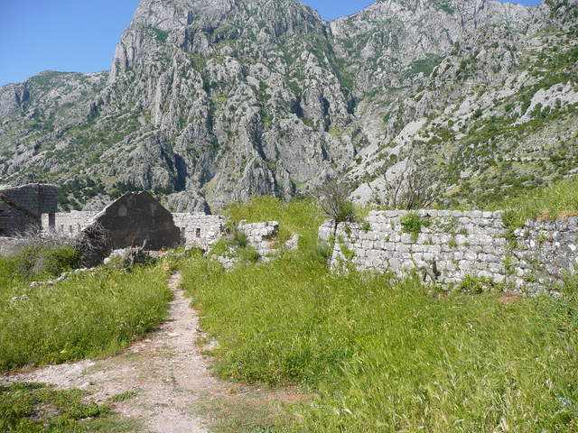 P1010452.JPG