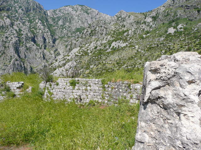 P1010453.JPG