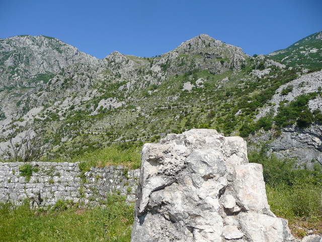 P1010454.JPG