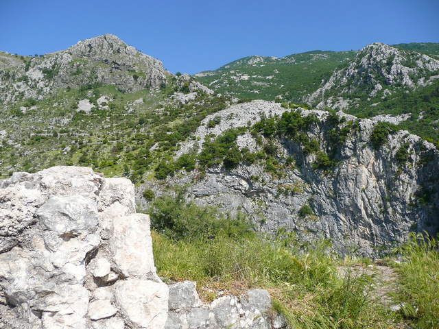 P1010455.JPG