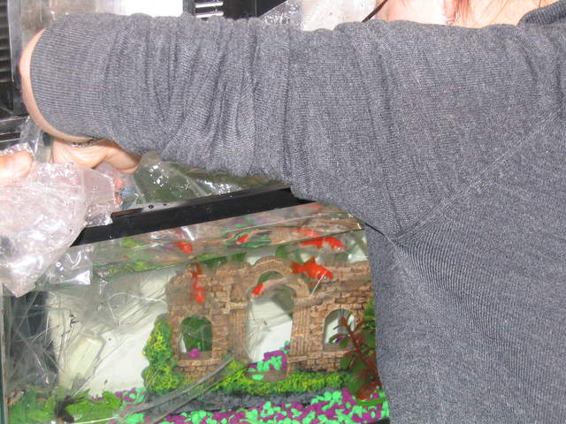 Fish2 018.jpg
