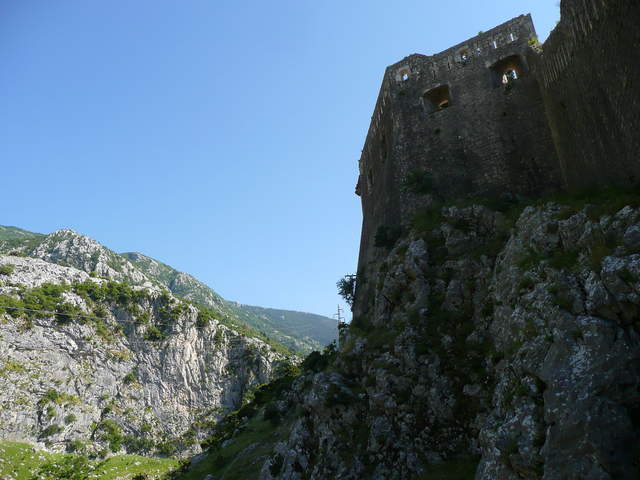 P1010469.JPG
