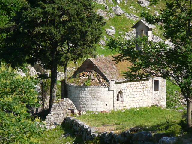 P1010471.JPG