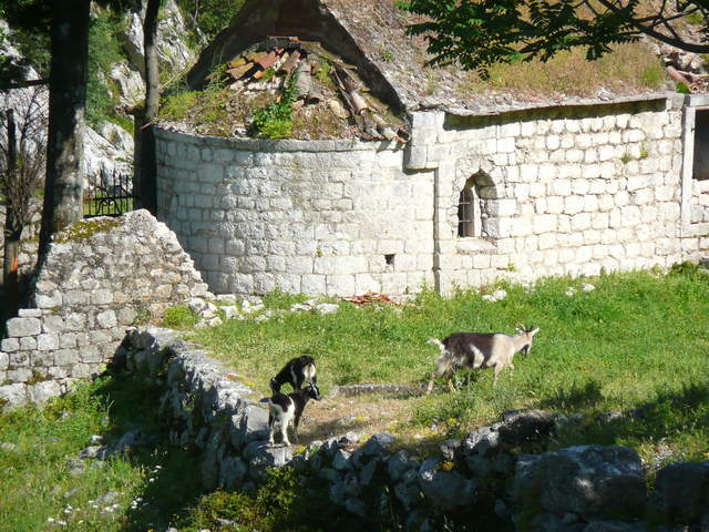P1010472.JPG
