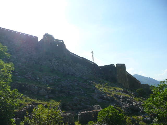 P1010479.JPG