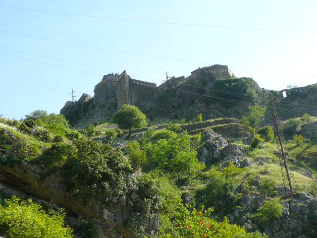P1010482.JPG