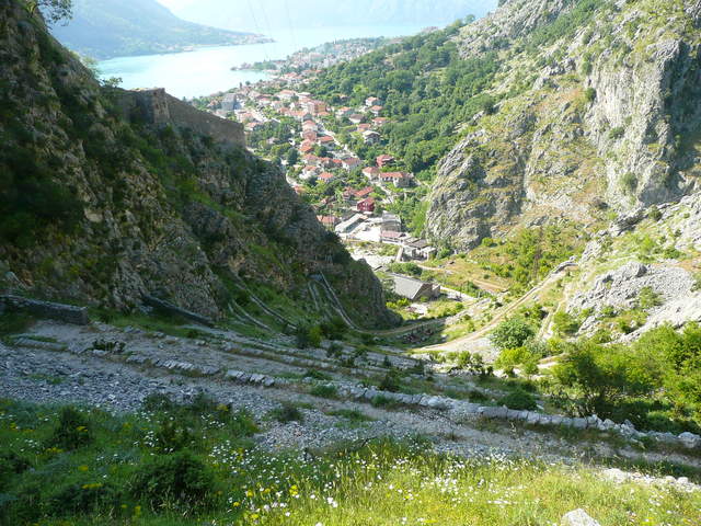 P1010483.JPG