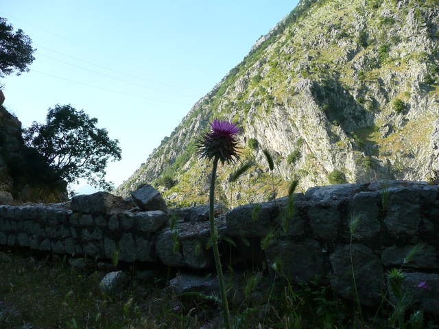 P1010484.JPG