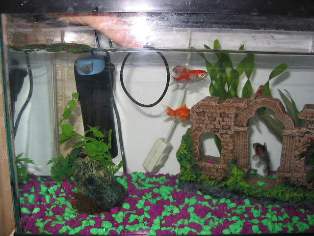 Fish2 023.jpg
