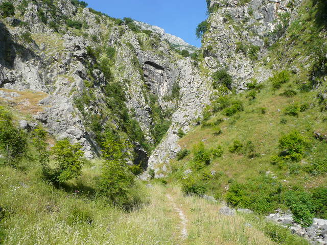 P1010487.JPG