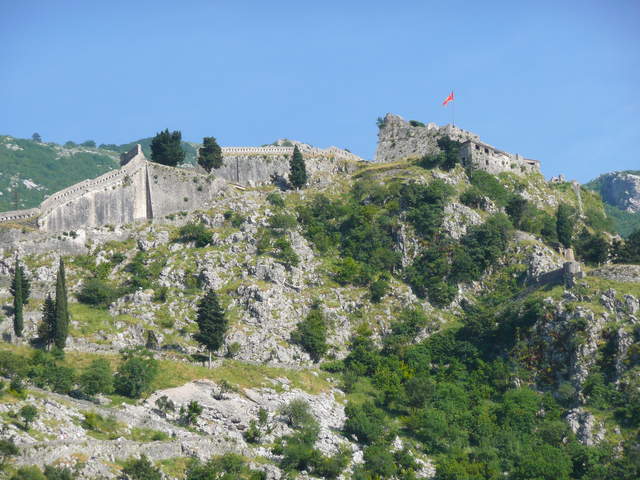P1010490.JPG