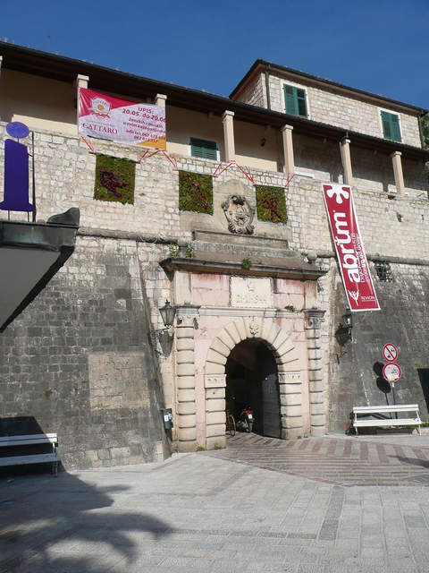 P1010491.JPG