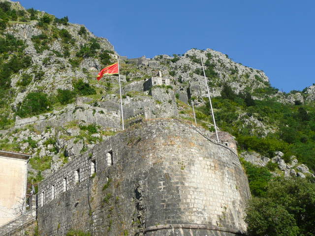 P1010494.JPG