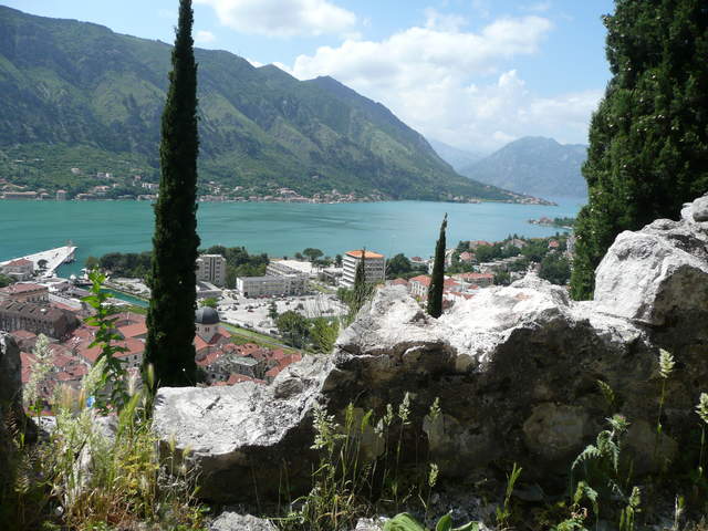 P1010410.JPG