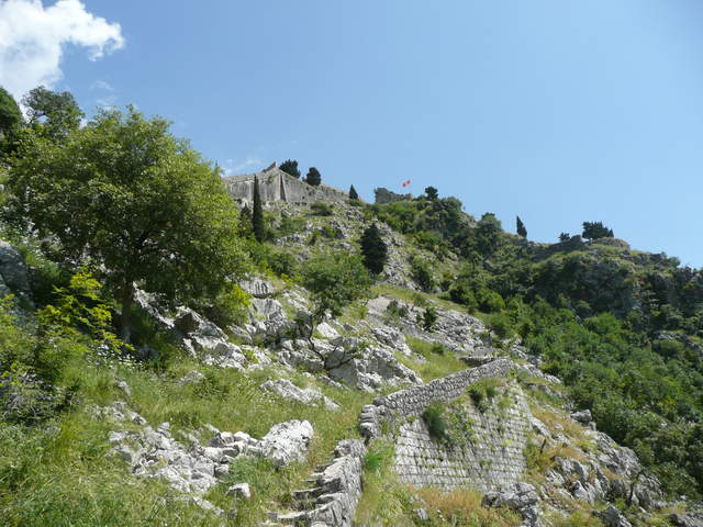 P1010414.JPG