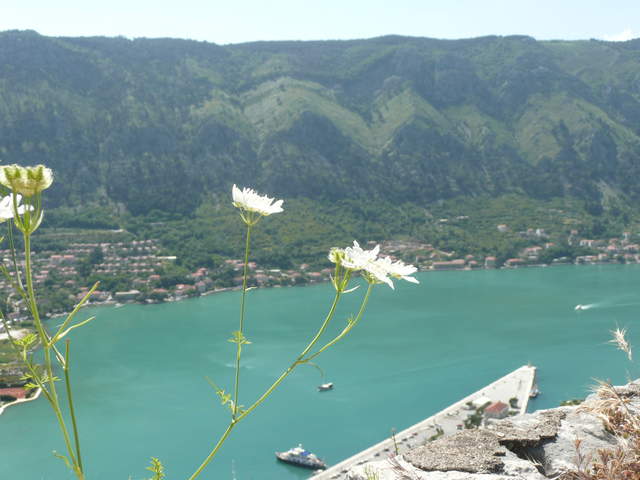 P1010416.JPG