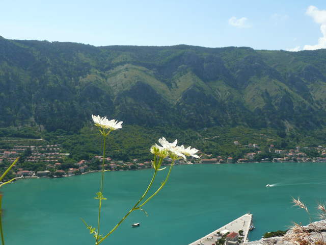 P1010417.JPG