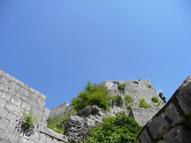 P1010418.JPG