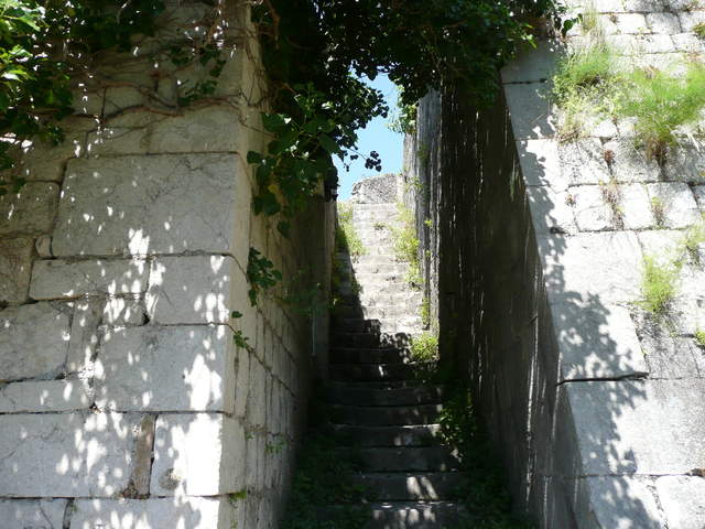 P1010420.JPG