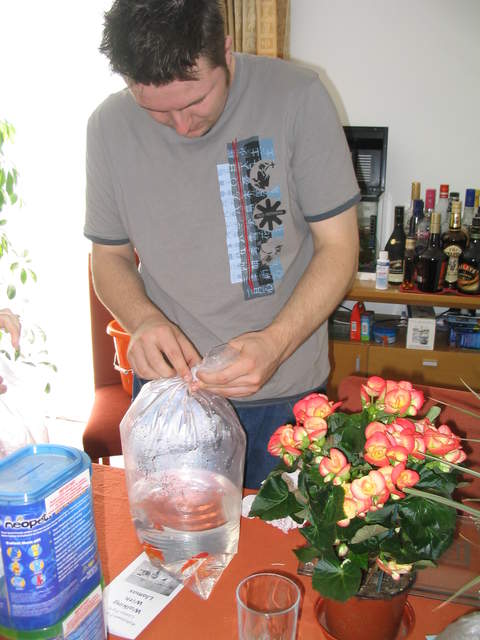 Fish2 002.jpg